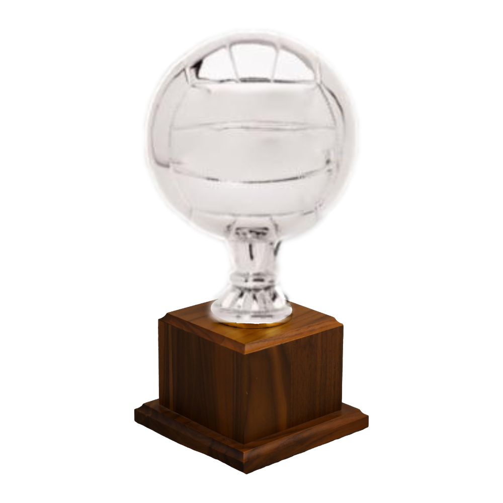 Volleyball Replica Sport Ball Award